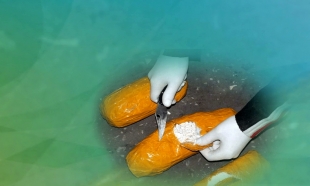 32 килограмма героина изъято на таможне &laquo;Кордай&raquo; Жамбылской области