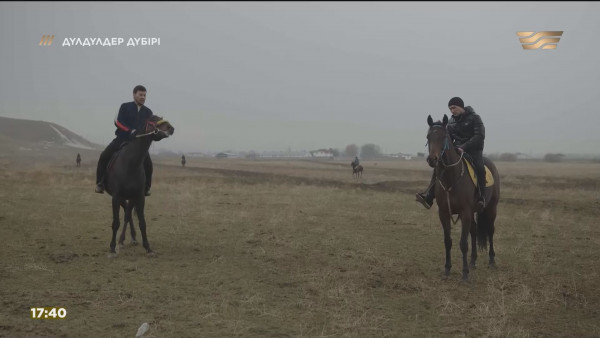 Жарақатынан айыққан Үшқоңыр биыл бәйгеге қосылады. &laquo;Дүлдүлдер дүбірі&raquo;