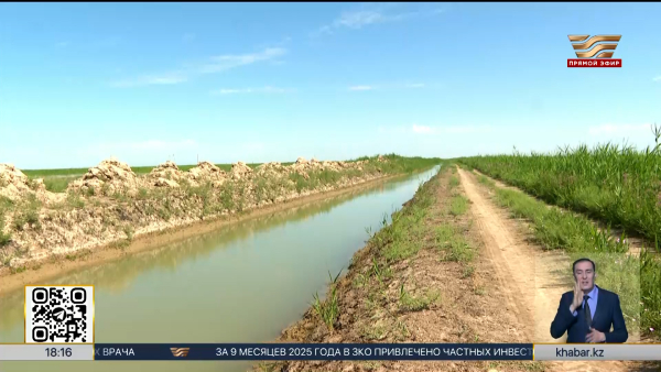 Случаи хищения поливной воды выявлены в двух областях Казахстана