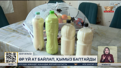 Саржал ауылында әр үй бие байлап, қымыз баптайды