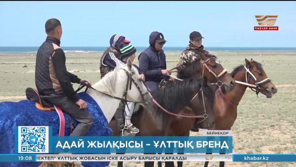Адай жылқысы қазақтың ұлттық бренді ретінде тіркелді