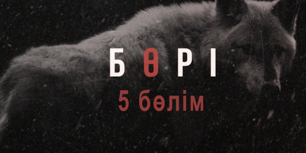 Бөрі телехикаясы