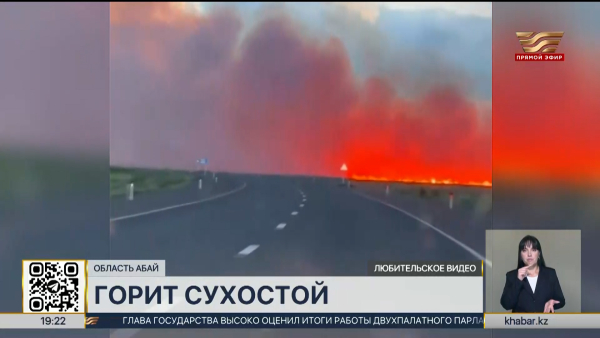 Спасатели области Абай борются с пожаром