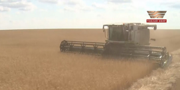 Қазақстанға бидай әкелуге тыйым салынуы мүмкін