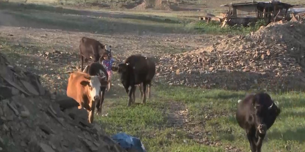 ШҚО тұрғындары мазасын алған тас үйінділерімен күресіп әлек