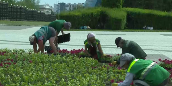 Новые дизайнерские решения применят в озеленении столицы