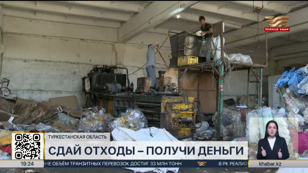 Сдай отходы – получи деньги: как на мусоре можно построить бизнес