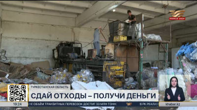 Сдай отходы – получи деньги: как на мусоре можно построить бизнес