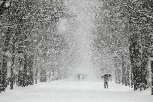 Снегопады и метели будут определять погоду в выходные дни