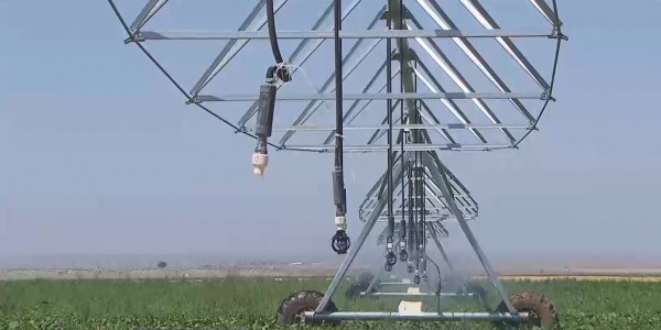 Жетісулық шаруалар Мемлекет басшысына ашық хат жазды