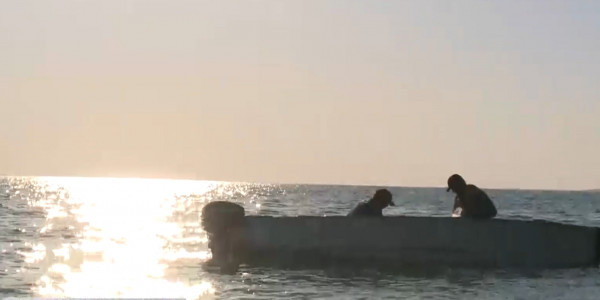 Восстановить Малый Арал и увеличить объём добычи рыбы собираются рыболовы Кызылординской области