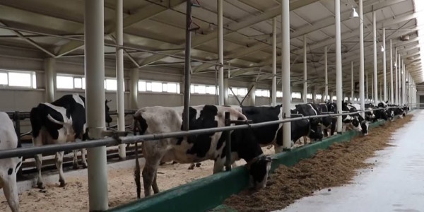 Требования к казахстанским аграриям пересмотрят &ndash; А. Смаилов