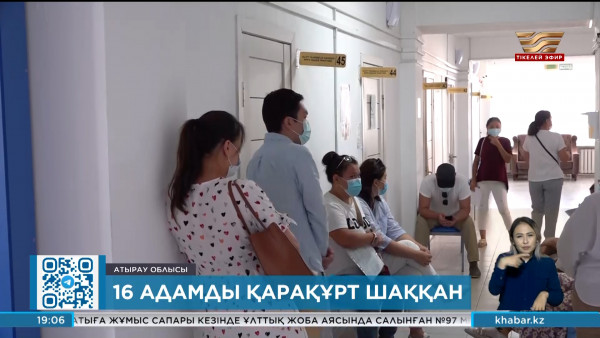 Атырау облысында қарақұрт қаптап кетті