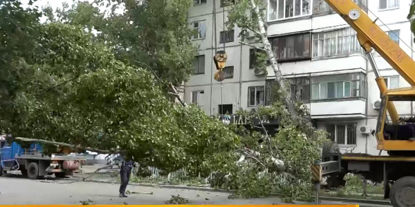 БҚО-да дүлей дауылдан келген шығын анықталып жатыр