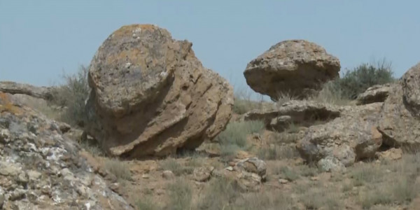 Урочище Торыш может быть взято под охрану государства