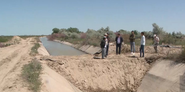 Фермеры вынуждены сокращать посевные площади в Туркестанской области