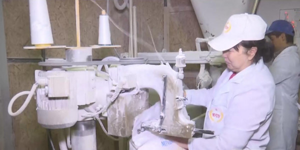 Отандық ұн өндіретін компаниялар банкротқа ұшырап жатыр