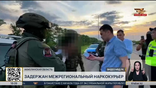 Бывший учитель работал наркокурьером в Акмолинской области