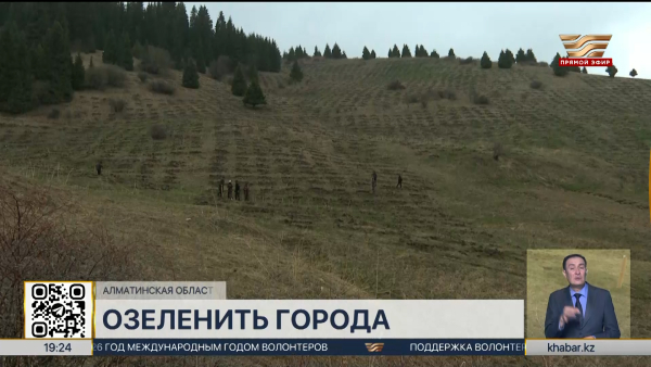 Более 210 миллионов саженцев высадят по всей стране