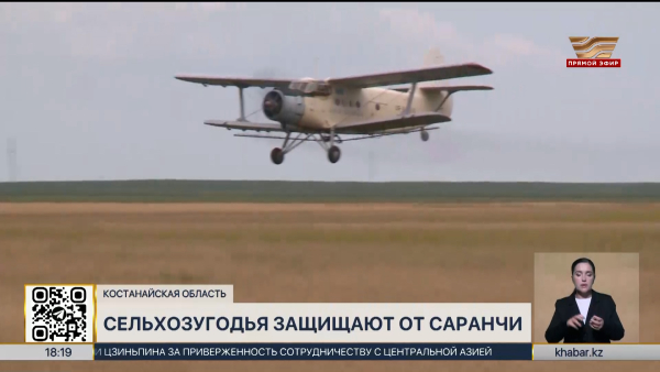 Сельхозугодья защищают от саранчи в Костанайской области