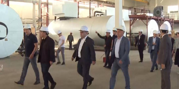 Рабочие поездки по регионам начали мажилисмены