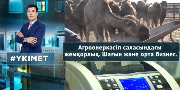 Агроөнеркәсіп саласындағы жемқорлық. Шағын және орта бизнес. &laquo;Үкімет&raquo;