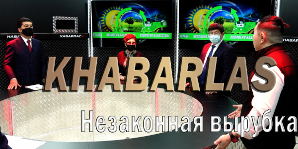 Незаконная вырубка. &laquo;Khabarlas&raquo;