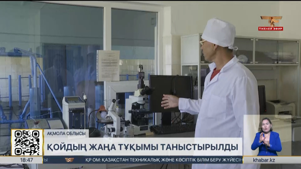 Қосшыда төрт түлікті асылдандыруға арналған халықаралық семинар өтті