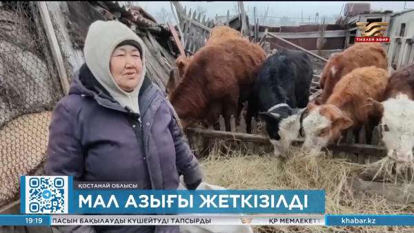 Арқалықтың маңындағы ауылдар жем-шөптен тарығып отыр