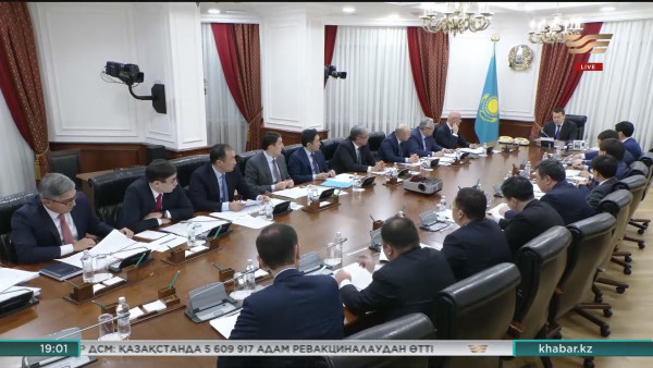 Үкіметте кейбір активтерді мемлекет меншігіне беру мәселелері қаралды