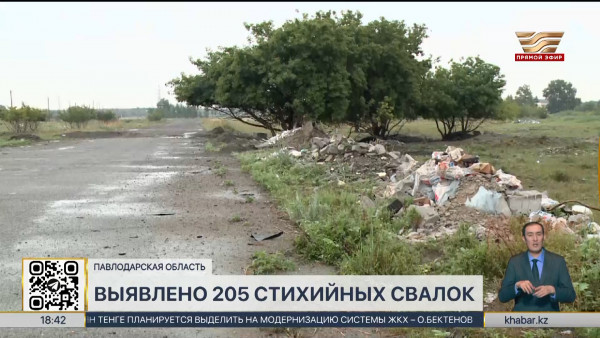 Свыше 200 стихийных свалок выявлено в  Павлодарской области