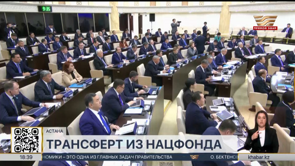 Сенат одобрил закон о гарантированном трансферте из Нацфонда на три года