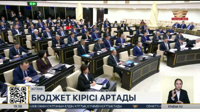 Бюджет кірісі артады