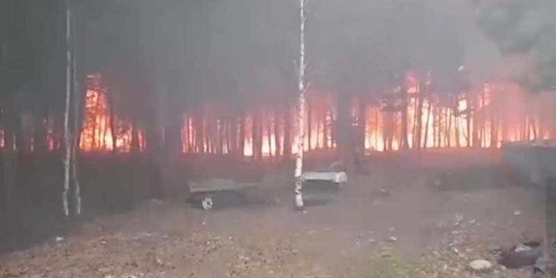 В Риддере ликвидировали сильный лесной пожар