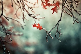 Демалыс күндері ауа райы құбылмалы болады