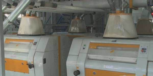 Елімізде диірмендерге шикізат жетіспейді