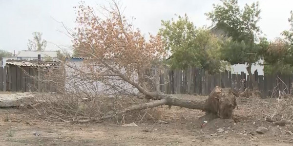 Ақмола облысында дауылдан кейін үйлер толықтай қалыпқа келтірілді