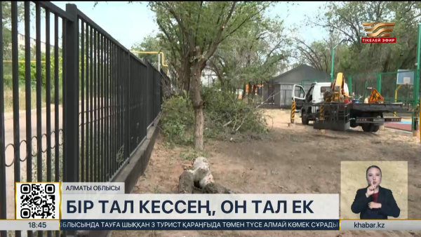 Алматы облысында 1 млн-нан астам көшет егу міндеттемесі орындалмады
