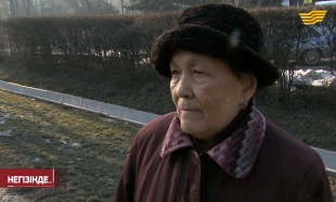 &laquo;Негізінде...&raquo;. Кезекпен күрес немесе бір терезе қағидасы