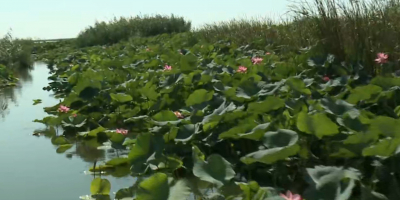 Атырау облысының экологиялық туризмі өркендеп келеді