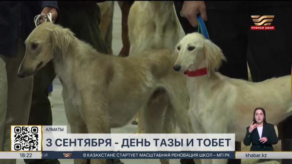 День тазы и тобет: новый праздник появился в Казахстане